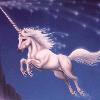 Unicorn is the symbol of your wish